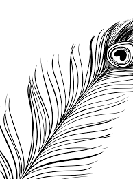 Feather Line Drawing Line Drawing Drawings Album Art