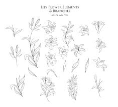 Black And White Lily Clipart Botanical Lily Clipart Hand Drawn Floral Elements Leaves Flower Wedding Foliage Branch One Line Art Decorate Vector Logo Set Png Eps Svg Ai In 2020 Sell My Art How To Draw