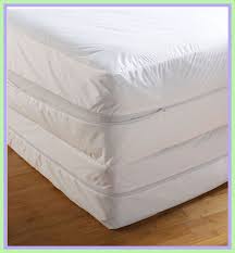 99 Reference Of Purple Mattress Protector Bed Bugs Mattress Encasement Mattress Covers Mattress
