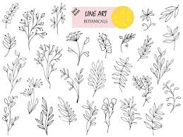 Vector Line Art Botanical Drawings Black And White Floral Etsy