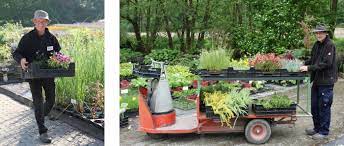 4 einzigartig garten versandhandel | deko garten. Staudenkulturen Stade Informationen Zum Stauden Versand