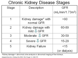 Gfr Rango Del Flujo Glomerular Kidney Disease Stages Nurse Skills Nursing Information