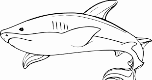 Coloring Pages Coloring Megalodon To Print Megalodoning Great Coloring Pages Shark Coloring For Shark Coloring Pages Great White Shark Drawing Coloring Pages