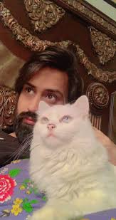 Heart touching Quotes