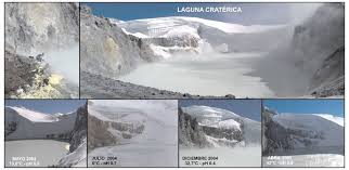 11 la mutisia es una flor característica de la región cordillerana y parques nacionales, que llama la atención por su exótica belleza y colores naranjas, morados y blancos, como una pupila de fuego que se asoma entre el verde ramaje de los. Crater Activo Del Volcan Copahue Donde Se Observa La Evolucion De La Download Scientific Diagram