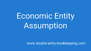 Economic Entity Assumption Double Entry Bookkeeping