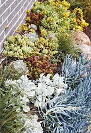 An Easy Care Coastal Garden In Torquay With Colourful Plants Coastal Gardens Australian Native Garden Native Garden