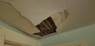 Somethings In My Attic Any Guesses Gonna Be A Fun Patch Job Drywall Over The Whole Ceiling Or Just Patch It It Also Cracked In My Cool Patches Guess Attic