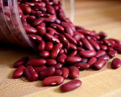 Pakan burung dara agar cepat gemuk jagung. Cara Memberi Makan Burung Merpati Agar Cepat Gemuk Burung Merpati