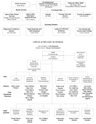 Irs Reorganization