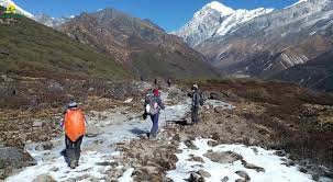 Goecha La Trek Sikkim The Ultimate Trail To Base Of Kanchenjunga So come with us on a journey through a place where this wonderful tree rhododendon grows on mass on part of the go cha la trek in west sikkim. goecha la trek sikkim the ultimate