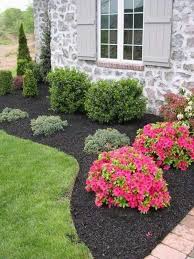 Gartenpflanzen Bluhen Rosen Im Garten Garten Dekorationen Easy Landscaping Front Yard Landscaping Design Diy Landscaping