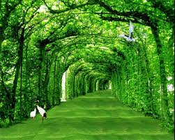 Download wallpaper pemandangan dengan kualitas hd 1080px background pemandangan alam terindah di dunia gambar pemandangan tercantik gratis download the best nature wallpaper in the. Wallpaper Hd Beibehang 3d Wallpaper Pemandangan Alam Segar Warna Fashionsista Co