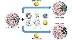 Cancerians like to get their own way, as you well know by now! Nanocarriers Open Up To Cancer Healthcare In Europe Com