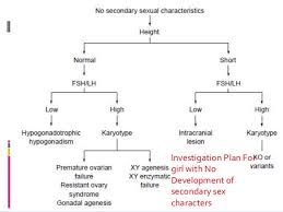 Flow Charts For Gynaecological Conditions
