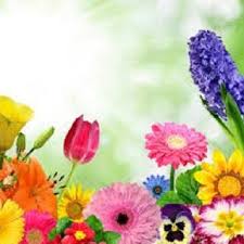 Jun 24, 2021 · welcome to your culebra home depot in san antonio, tx. Flowerama San Antonio Reviews Facebook