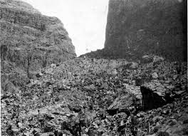 Image result for Oreophyton falcatum