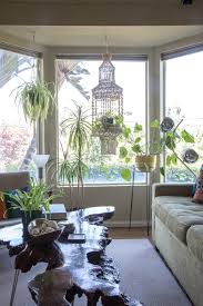 The spider plant is one of the most popular houseplants thanks to its low maintenance, beautiful variegated leaves, and the fact that the spider plant has long slender leaves that extend out from a basal rosette. Spider Plant Care How To Grow Maintain An Airplane Plant Apartment Therapy