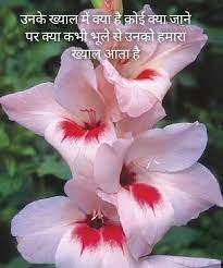 Khayal Urdu Hindi Plants