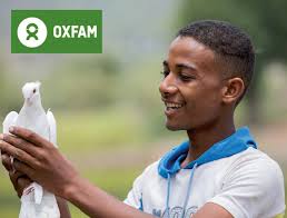 Looking for Torquay Pottery Stores? Find Pottery Stores near me with  Yellowtom