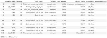 Data Science Practice for Loan Applications