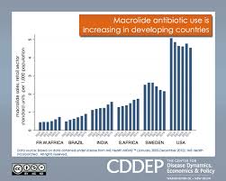 Image result for Macrolide