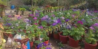 This one is a lot of work but makes an amazing feature in the garden. Indore Reuses Plastic Bottles To Create A Vertical Garden Plastic Waste