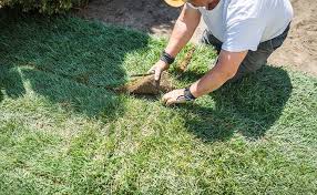 Deseja instalar grama artificial por um preço acessível e com alta qualidade? Como Plantar Grama Passo A Passo E 5 Dicas Para Mante La Sempre Verdinha
