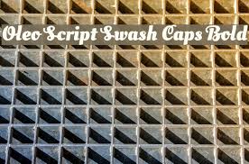 It has also a swash caps sister family, also available in regular and bold. Oleo Script Swash Caps Bold Font Ffonts Net