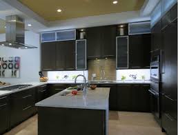 Shop for hardwired under cabinet lights and the best in modern lighting. Kitchen Inspired Led Modern Black Kitchen Black Kitchen Decor Led Under Cabinet Lighting