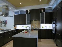 Hard wired under cabinet lights. Kitchen Inspired Led Black Kitchen Decor Modern Black Kitchen Led Under Cabinet Lighting