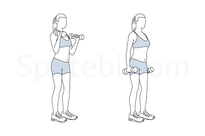 Hammer Curls