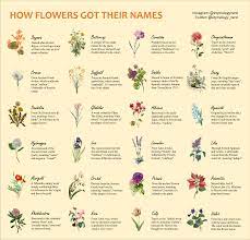 Download and print flowers chart, flowers. I Made A Guide Explaining How Flowers Got Their Names Coolguides