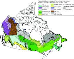 The canadian shield also has many beautiful waterfalls. Anticipating The Consequences Of Climate Change For Canada S Boreal Forest Ecosystems