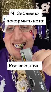 Funny Cat Video Compilation