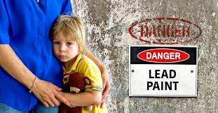 Image result for Lead Poisoning