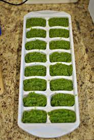 Homemade Green Bean Baby Food Becky S Best Bites