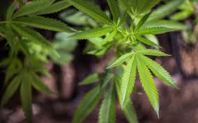 All Articles Archive