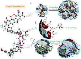 Get independent news alerts on natural cures, food lab tests. Natural And Artificial Humic Substances To Manage Minerals Ions Water And Soil Microorganisms Chemical Society Reviews Rsc Publishing Doi 10 1039 D0cs01363c