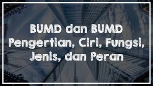 7) bumn yang terlalu mengeksploitasi kekayaan alam dapat mengakibatkan merusak lingkungan. Bumn Dan Bumd Ciri Ciri Tujuan Jenis Dan Peran Freedomsiana
