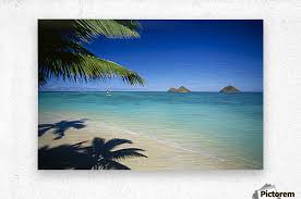 Buy hobie and get the best deals at the lowest prices on ebay! Hawaii Oahu Lanikai Beach Hobie Cat Sailing Near Mokulua Islands Palms C1554 Pacificstock