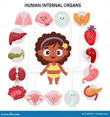 Infografia Educacional - Desenho Animado Criativo