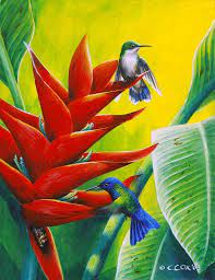 Pin On Hummingbird