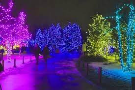 Toledo Zoo 2 Toledo Zoo Lights Holiday Fun Christmas Fun