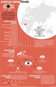 It is highly contagious and can spread rapidly through both direct and indirect contact with infected pigs or pig products. Tracking African Swine Fever Geopolitical Futures