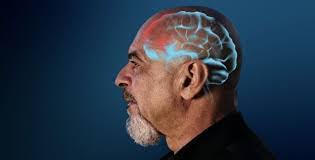 Fern Devine's Instagram, Twitter & Facebook