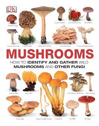 Mushrooms The Complete Mushroom Guide Amazon Co Uk Dk