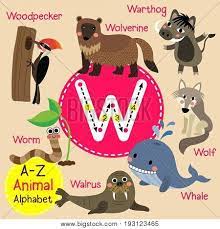 Learn about the history and specs of each of these vehicles in this article. Cute Children Zoo Vector Photo Free Trial Bigstock