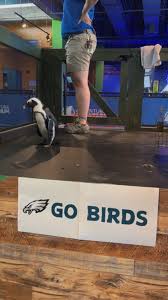 Adventure Aquarium telah menambah...