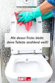 Natron Toilette Toiletten Reinigen Hausreinigungs Tipps Reinigungstipps